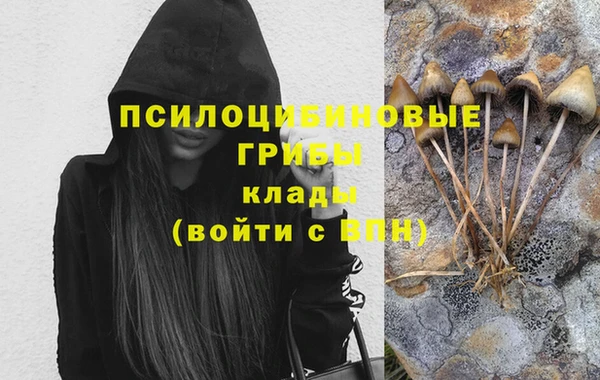 прущий лед Аркадак