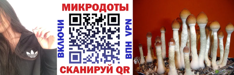 гидра ONION  Кологрив  darknet клад  где найти наркотики  Галлюциногенные грибы мухоморы 